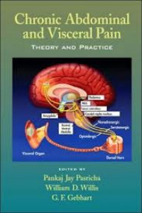 Chronic Abdominal and Visceral Pain: Theory and Practice