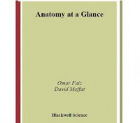 Anatomy at a Glance