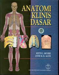 Anatomi Klinis Dasar