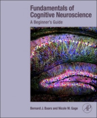 Fundamentals of Cognitive Neuroscience : a Beginner's Guide