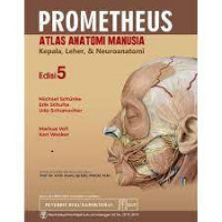 Image of Prometheus Atlas Anatomi Manusia: Kepala, Leher dan Neuroanatomi