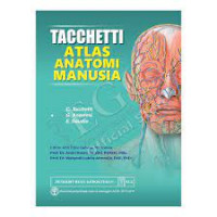 Tacchetti Atlas Anatomi Manusia