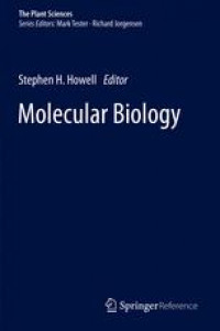 Image of Molecular Biology