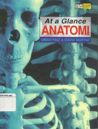 At A Glance Anatomi